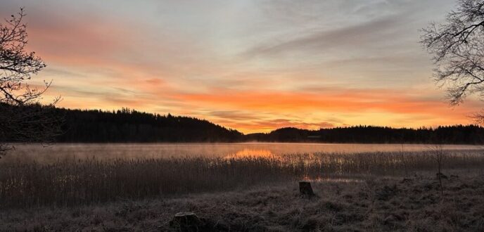 IMAGE 2025 11 18 100852 e1763456978149