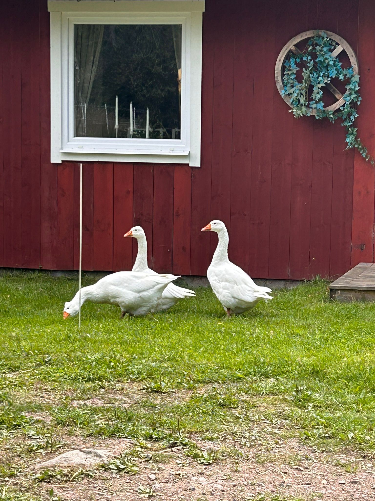 Lilla Hult Schweden 2