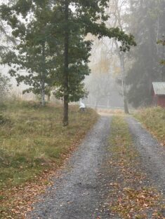 Lilla Hult Schweden 3