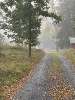 Lilla Hult Schweden 3