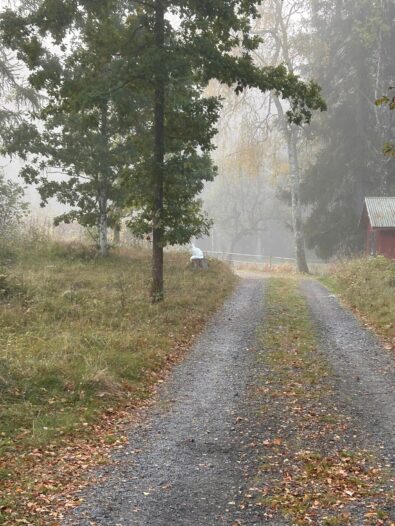 Lilla Hult Schweden 3 Lilla Hult Schweden 3