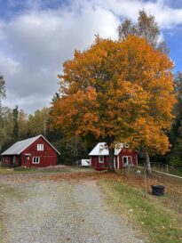 Lilla Hult Schweden 4