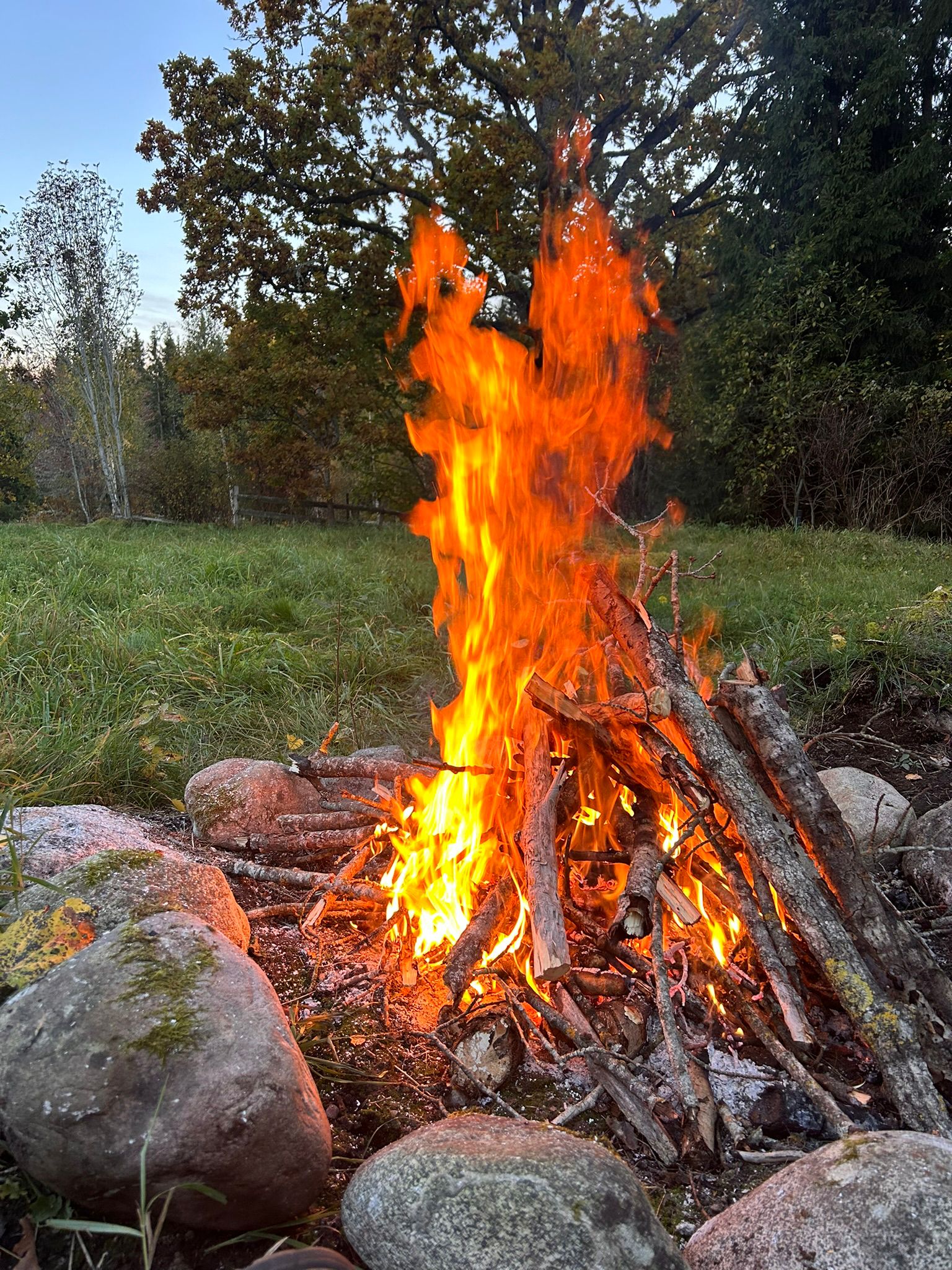 Lilla Hult Schweden 5