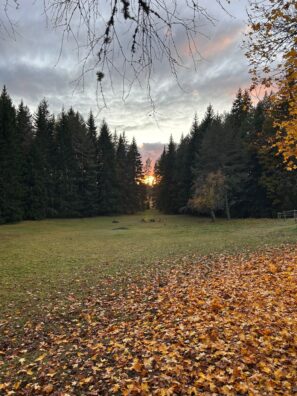 Lilla Hult Schweden 6