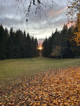 Lilla Hult Schweden 6